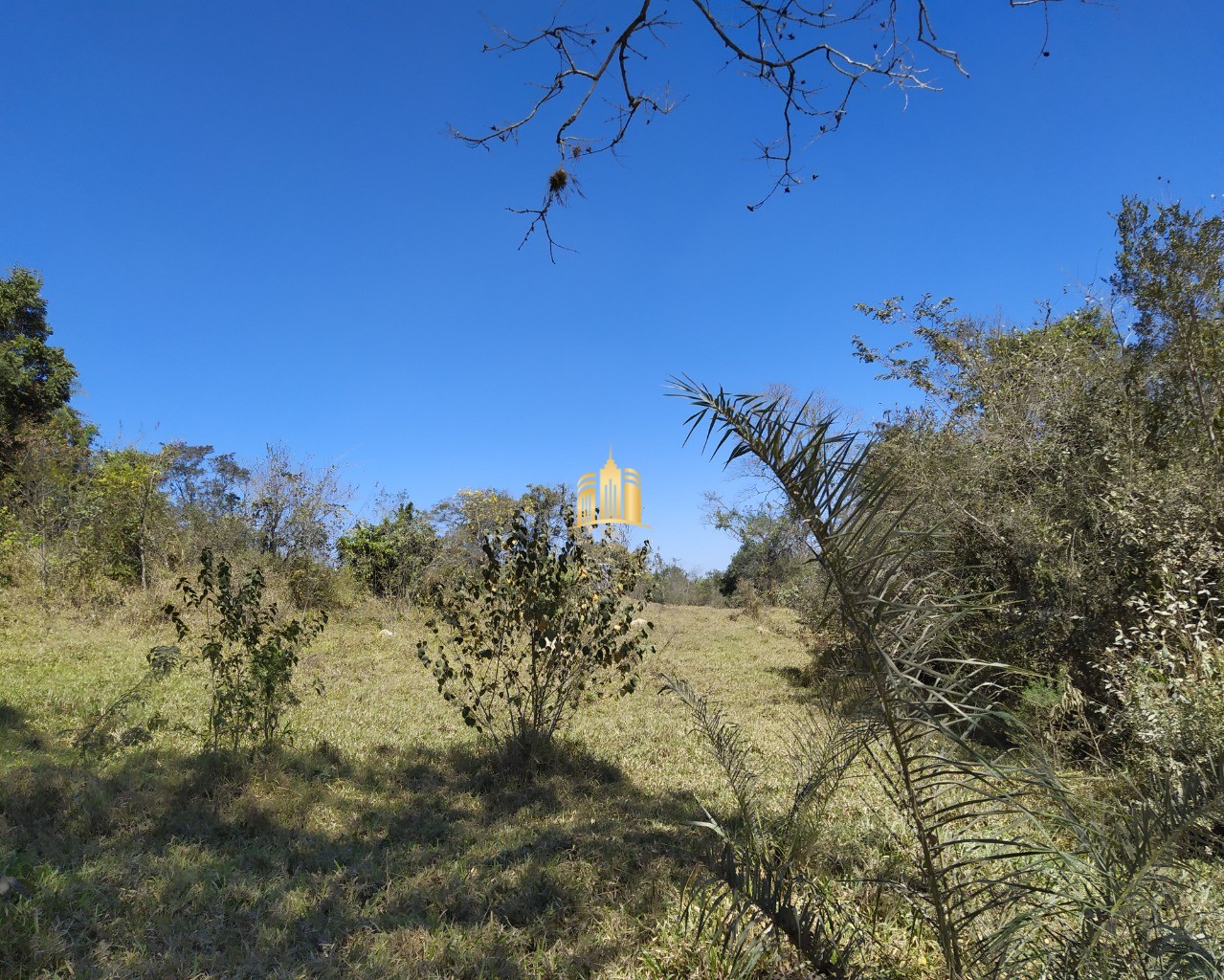 Terreno à venda, 50000m² - Foto 4