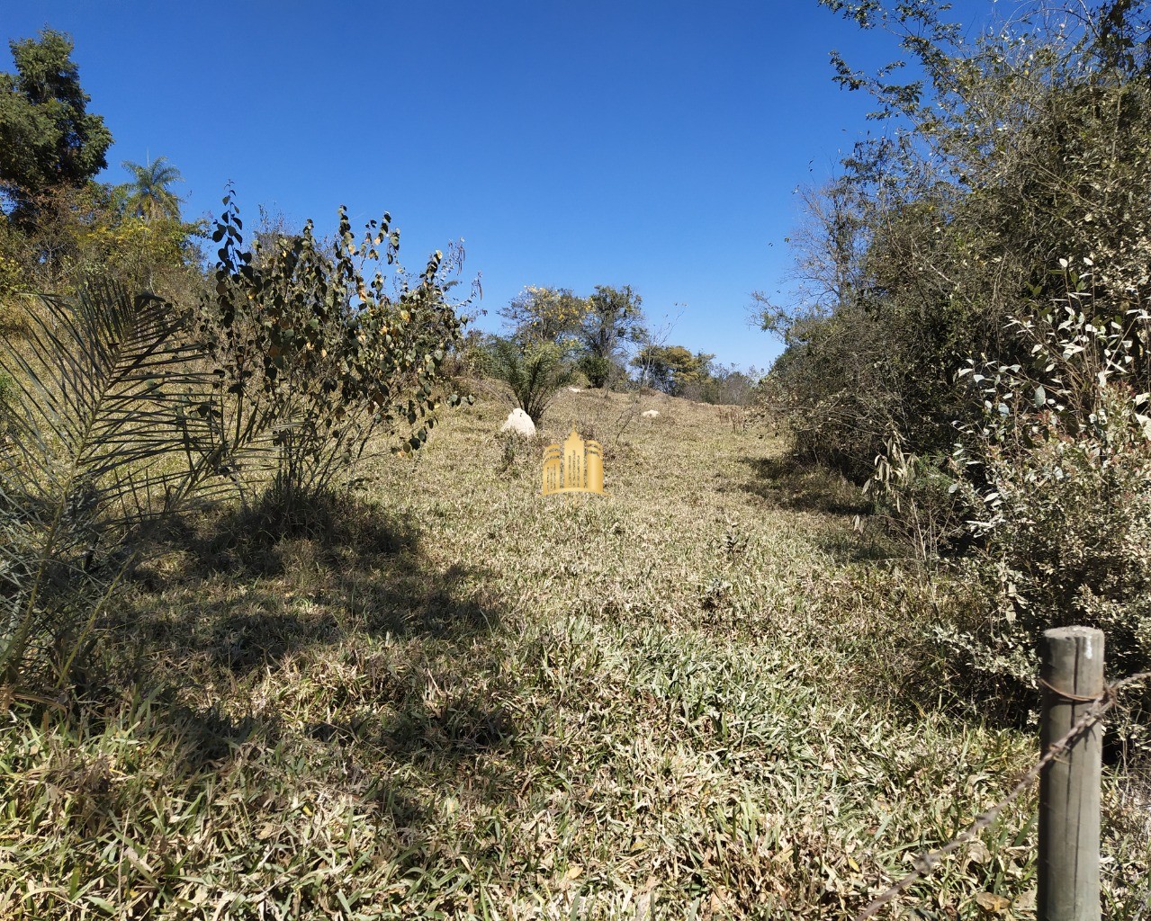 Terreno à venda, 50000m² - Foto 5