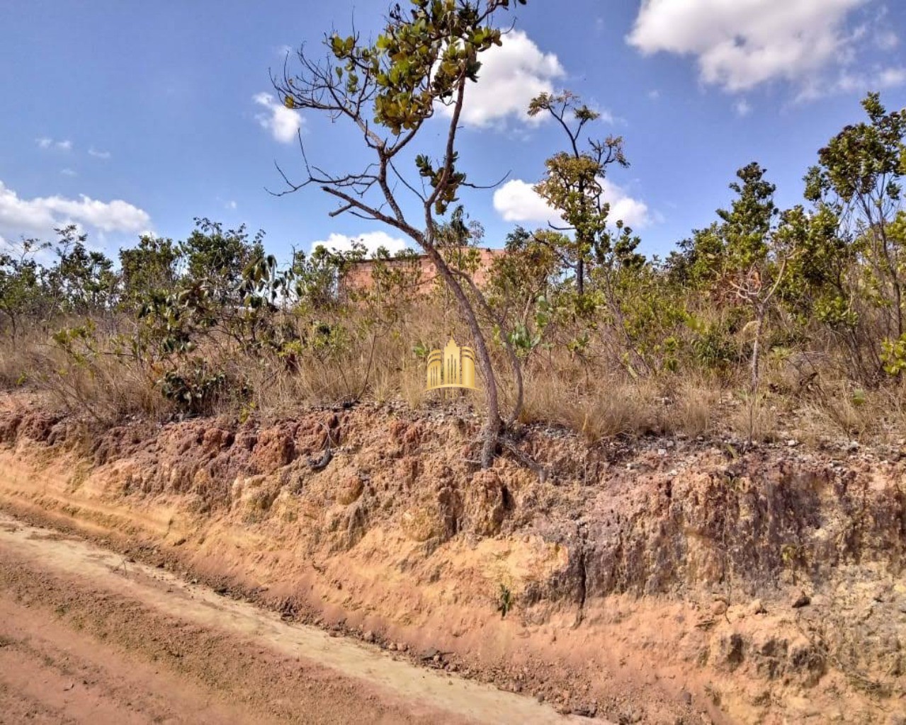 Terreno à venda, 100000m² - Foto 2