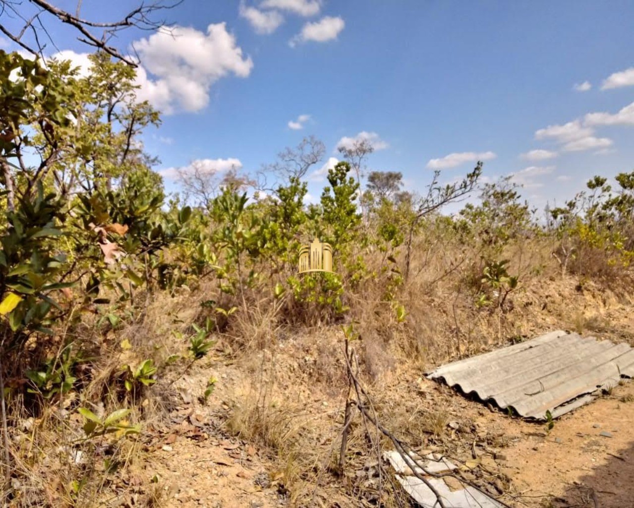 Terreno à venda, 100000m² - Foto 6