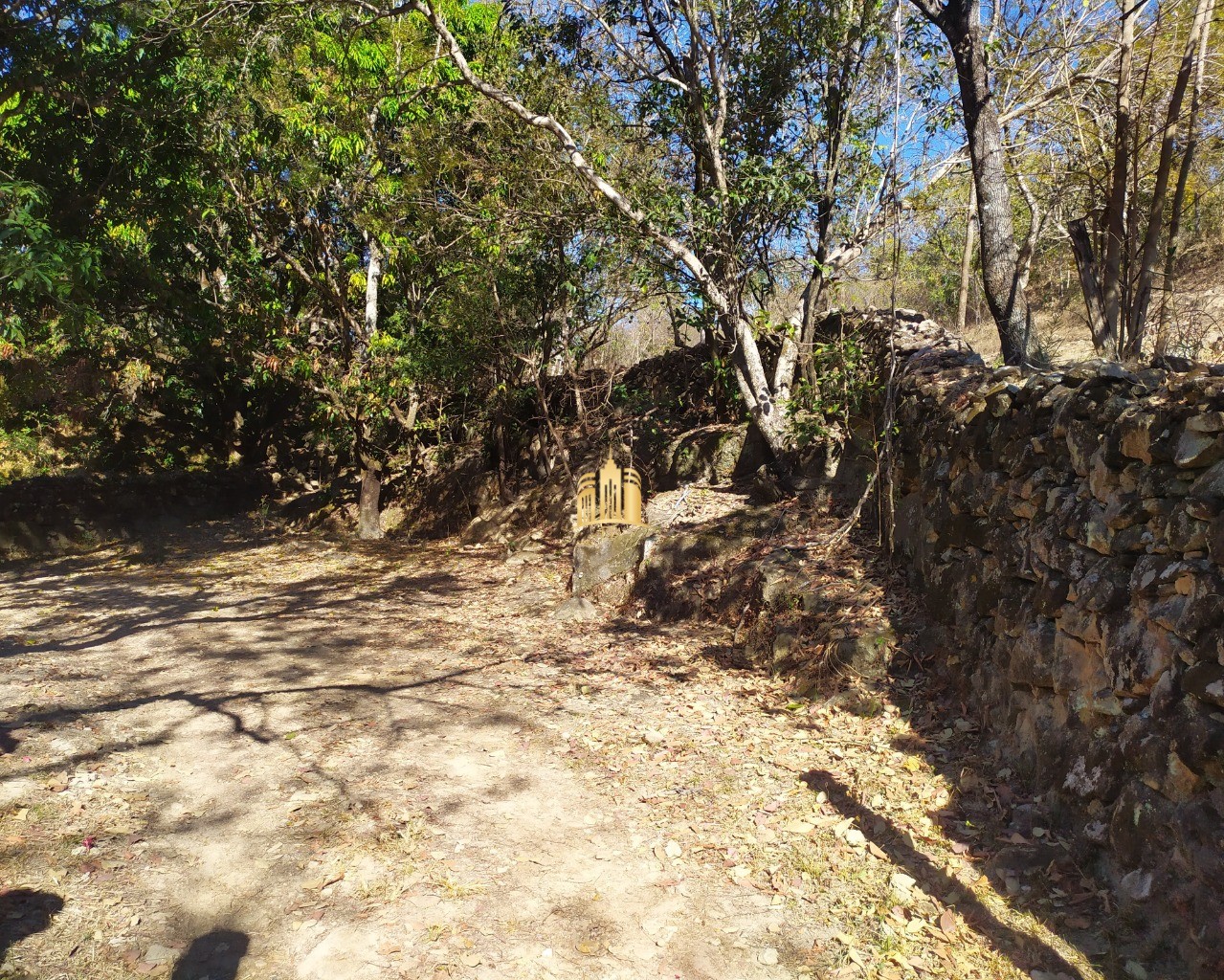 Fazenda à venda com 3 quartos, 660000m² - Foto 2