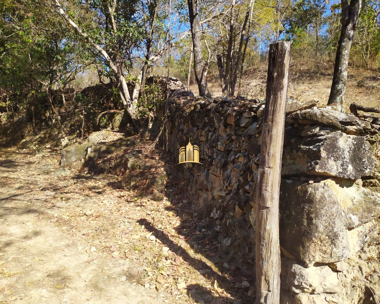 Fazenda à venda com 3 quartos, 660000m² - Foto 3