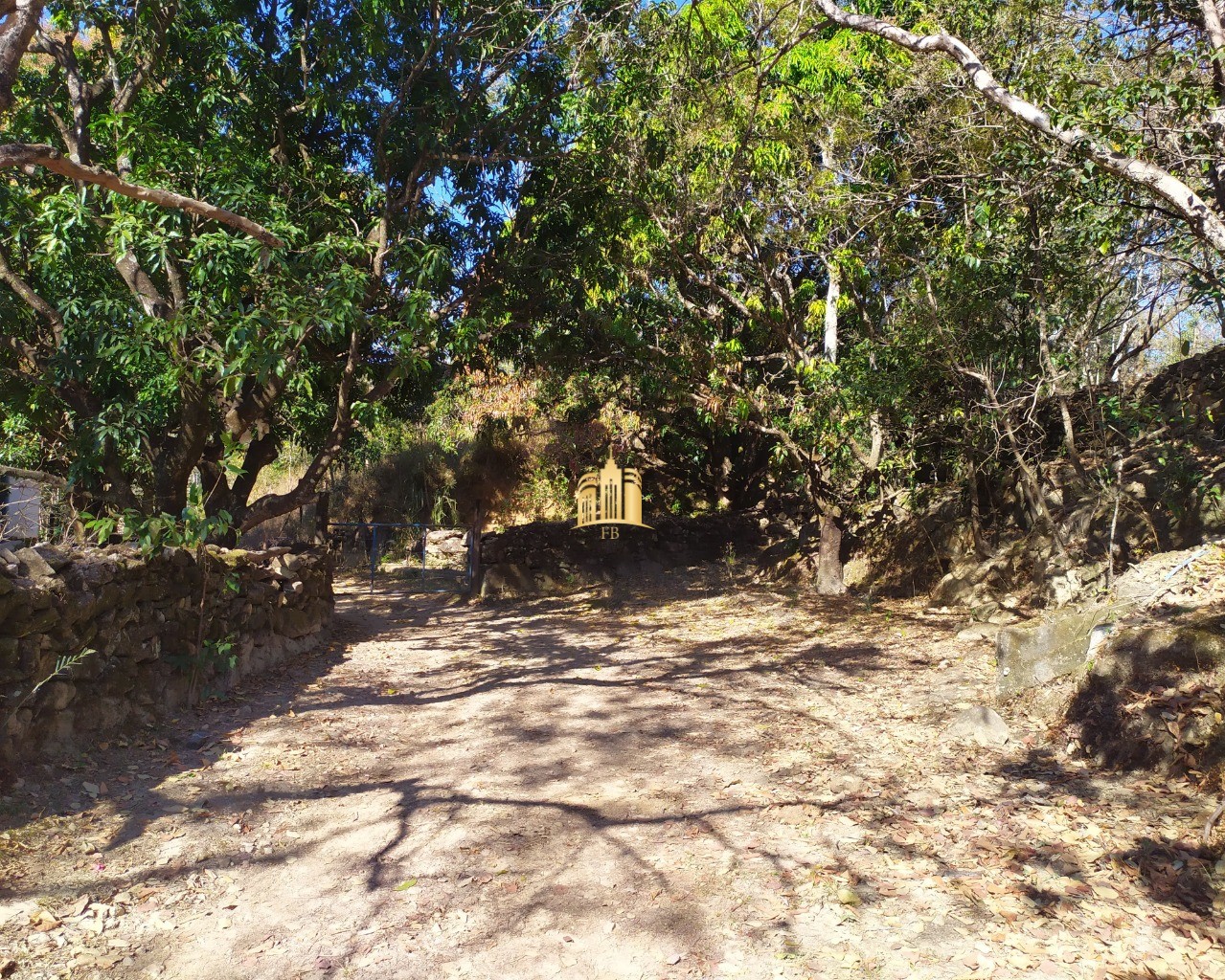 Fazenda à venda com 3 quartos, 660000m² - Foto 4