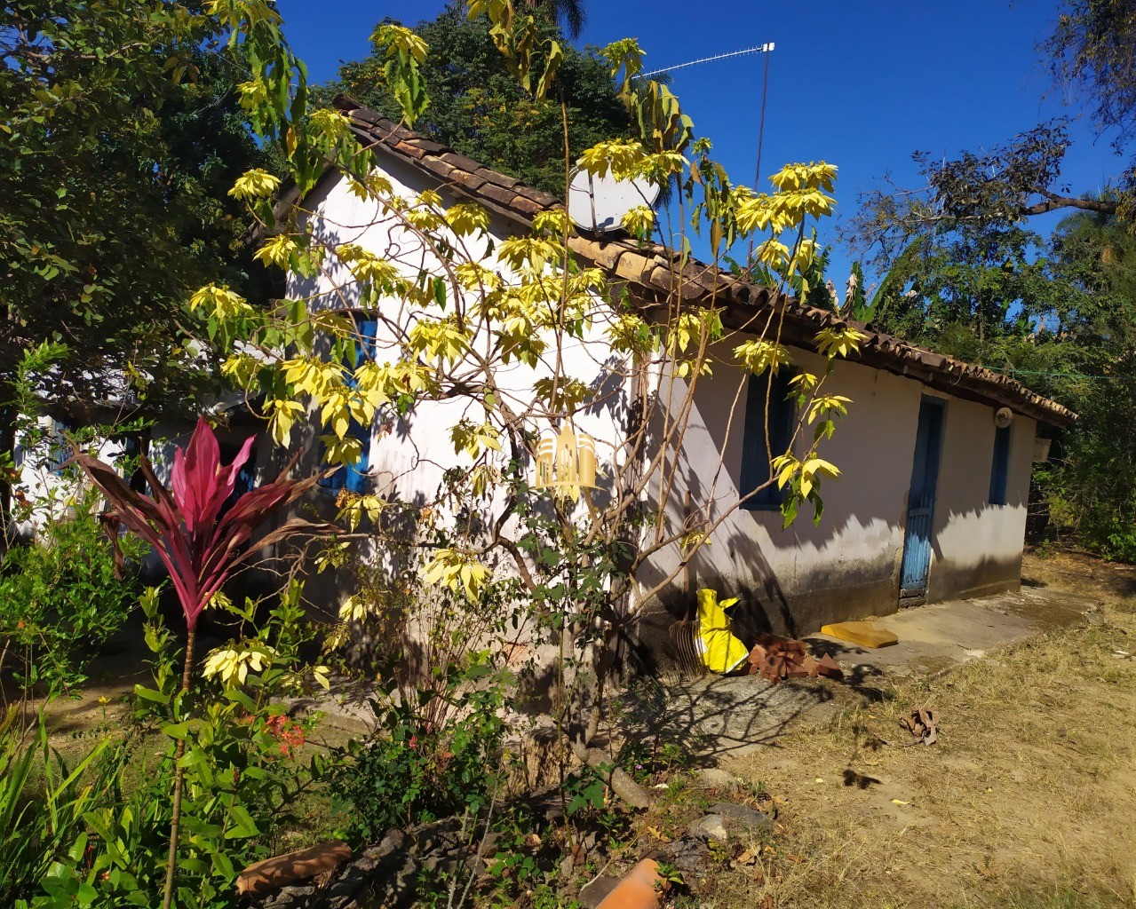 Fazenda à venda com 3 quartos, 660000m² - Foto 10