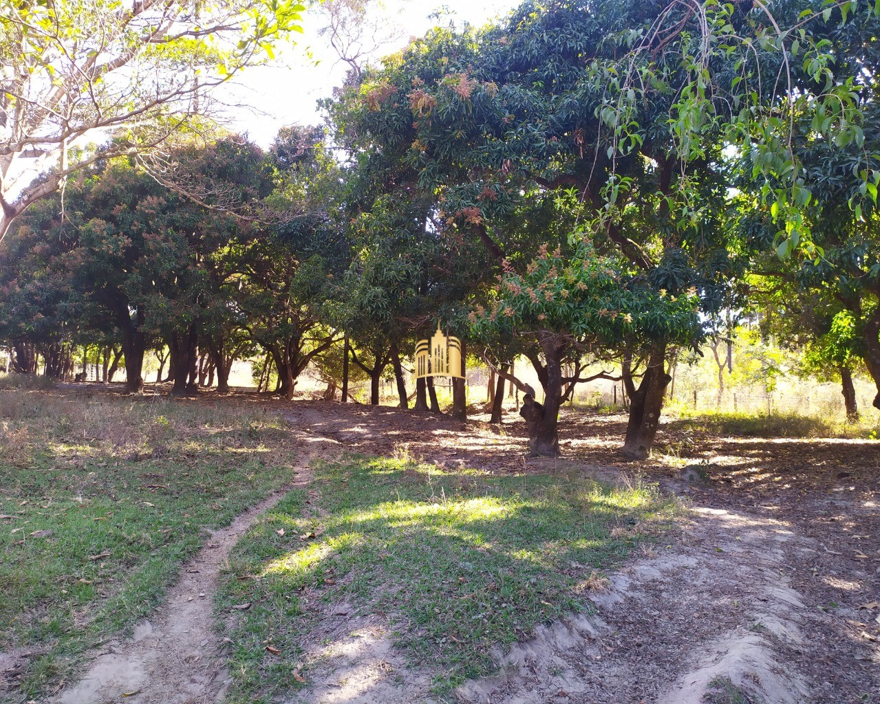 Fazenda à venda com 3 quartos, 660000m² - Foto 14