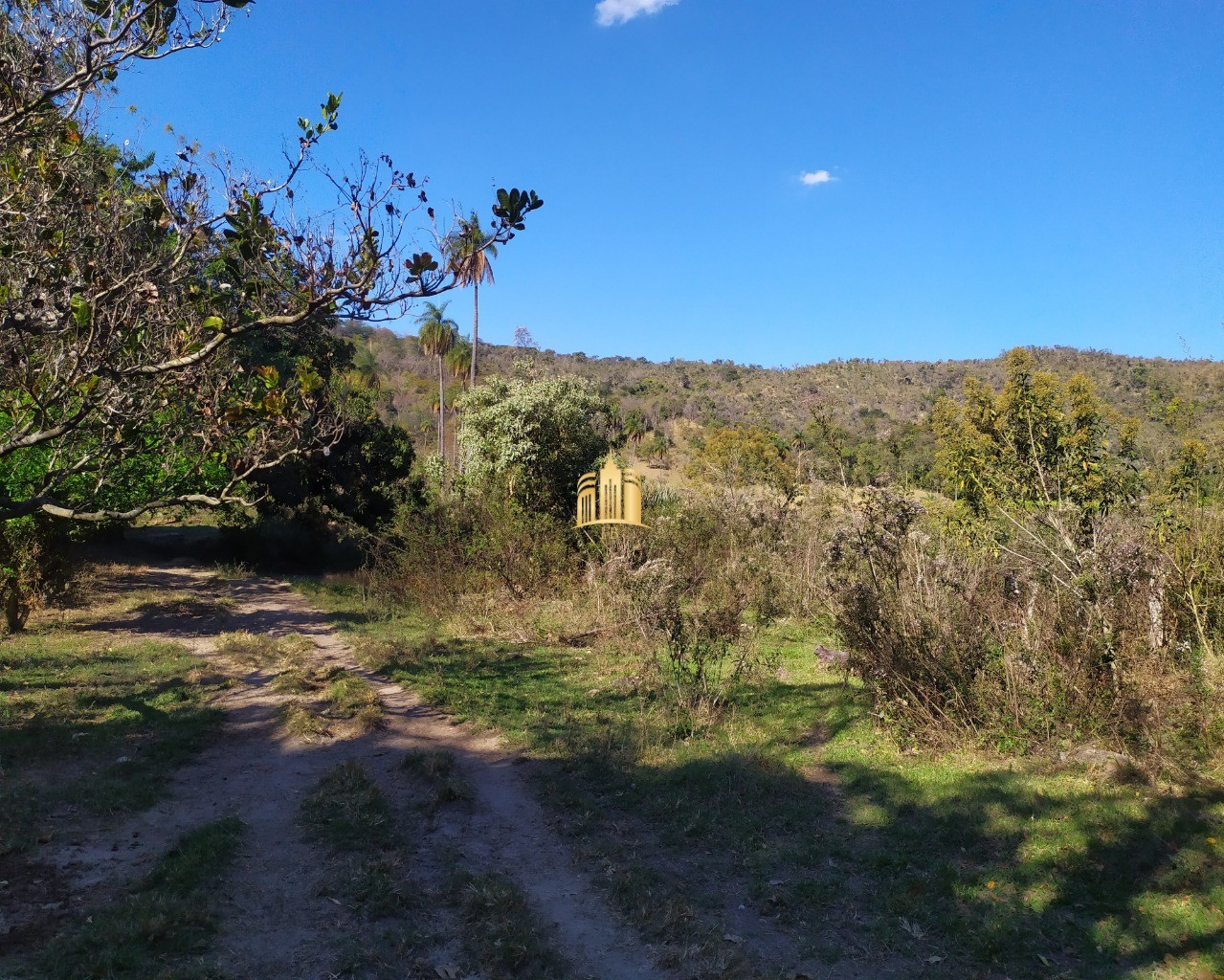 Fazenda à venda com 3 quartos, 660000m² - Foto 15