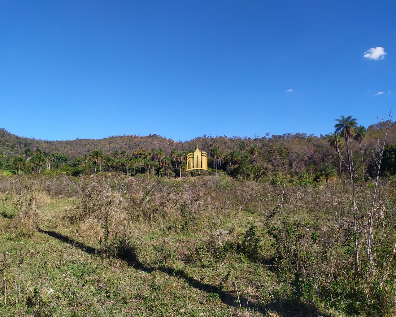 Fazenda à venda com 3 quartos, 660000m² - Foto 16