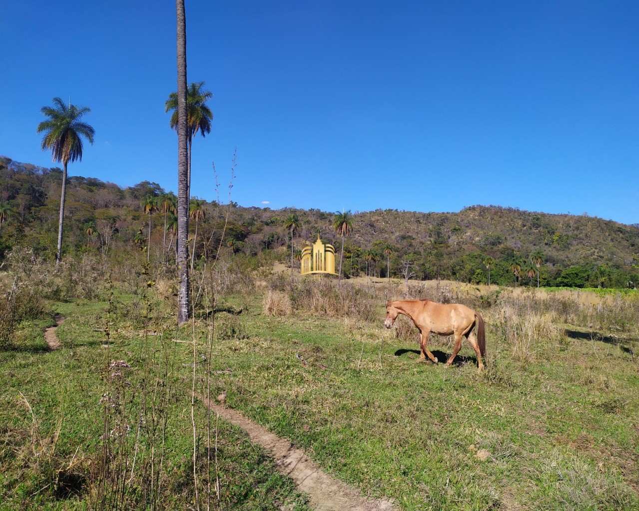 Fazenda à venda com 3 quartos, 660000m² - Foto 17