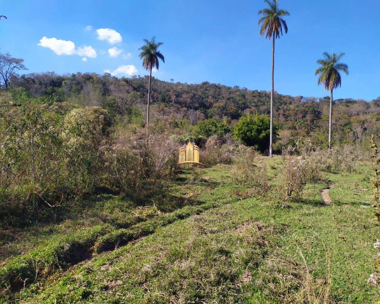 Fazenda à venda com 3 quartos, 660000m² - Foto 18