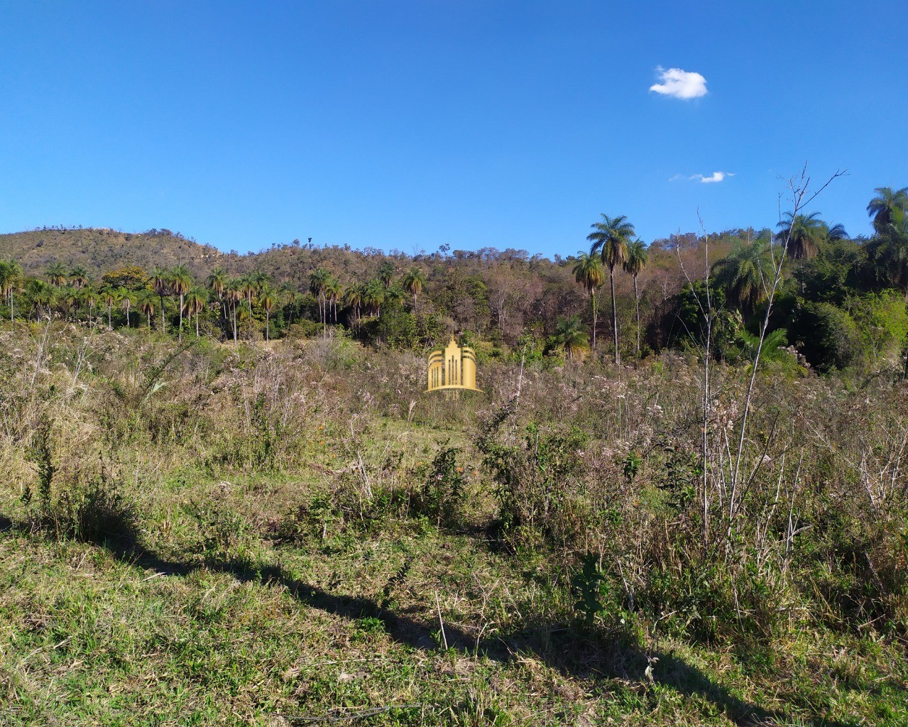 Fazenda à venda com 3 quartos, 660000m² - Foto 19