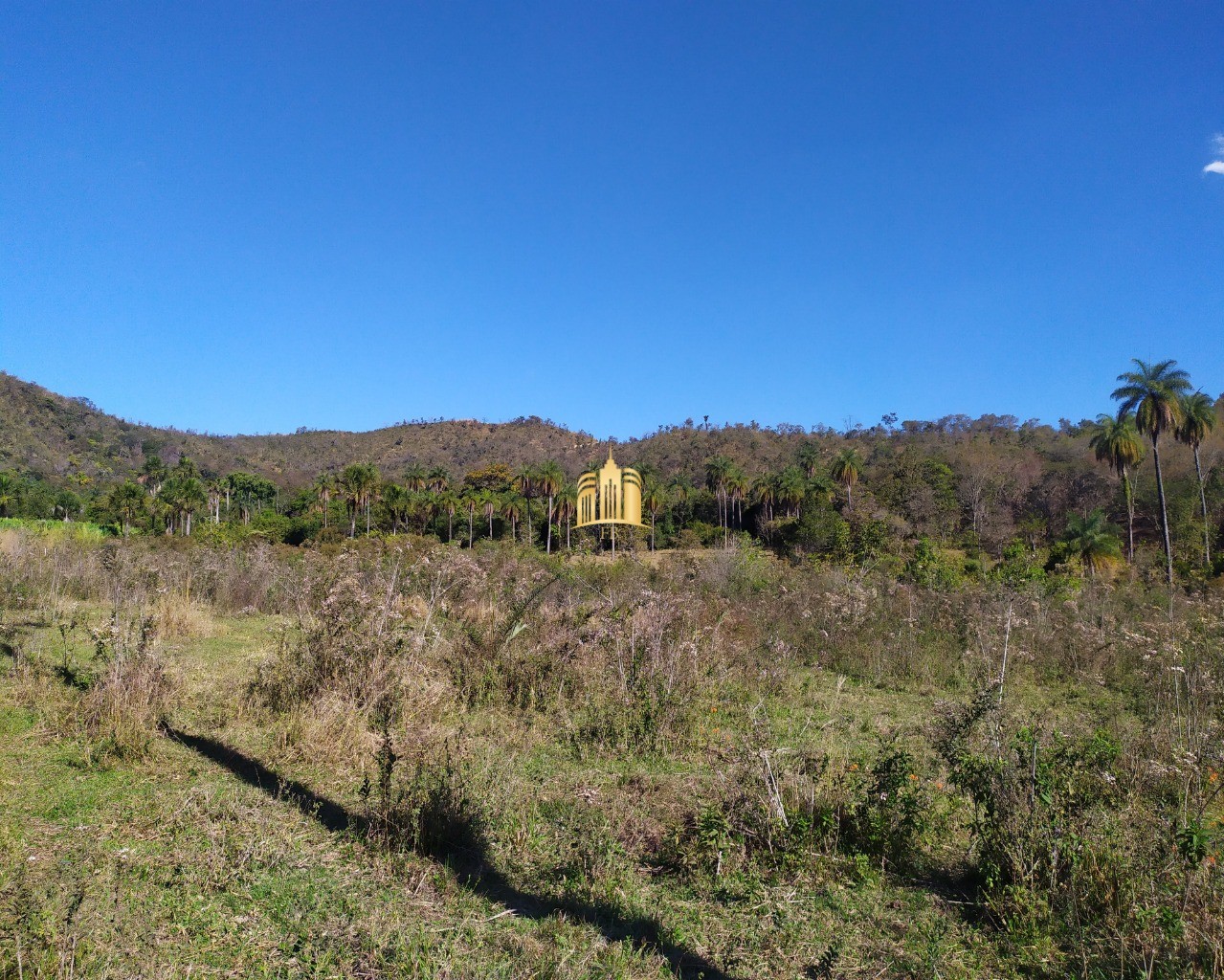 Fazenda à venda com 3 quartos, 660000m² - Foto 20