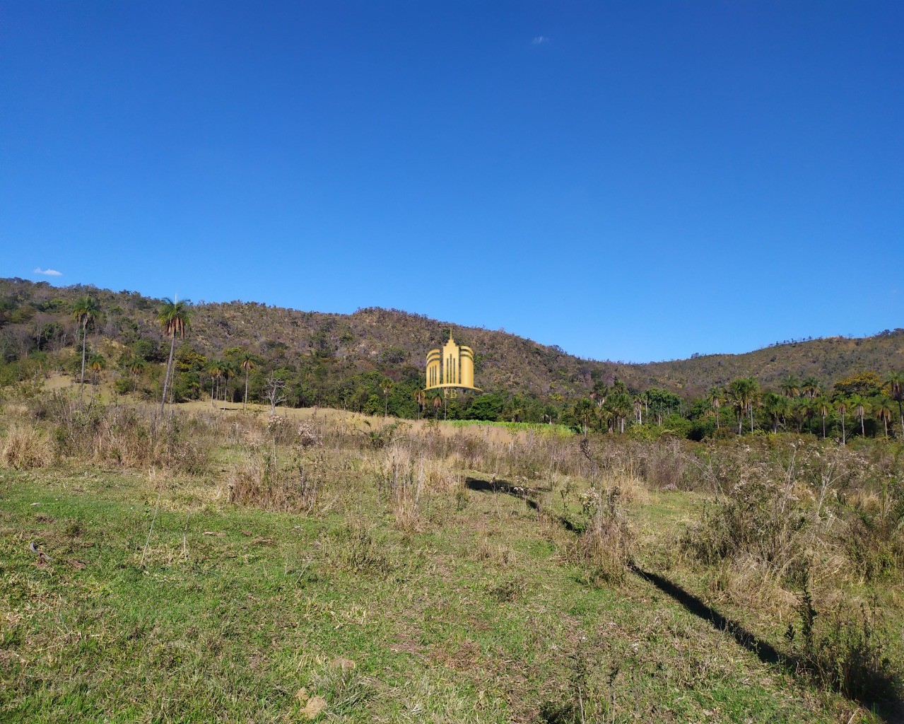 Fazenda à venda com 3 quartos, 660000m² - Foto 21