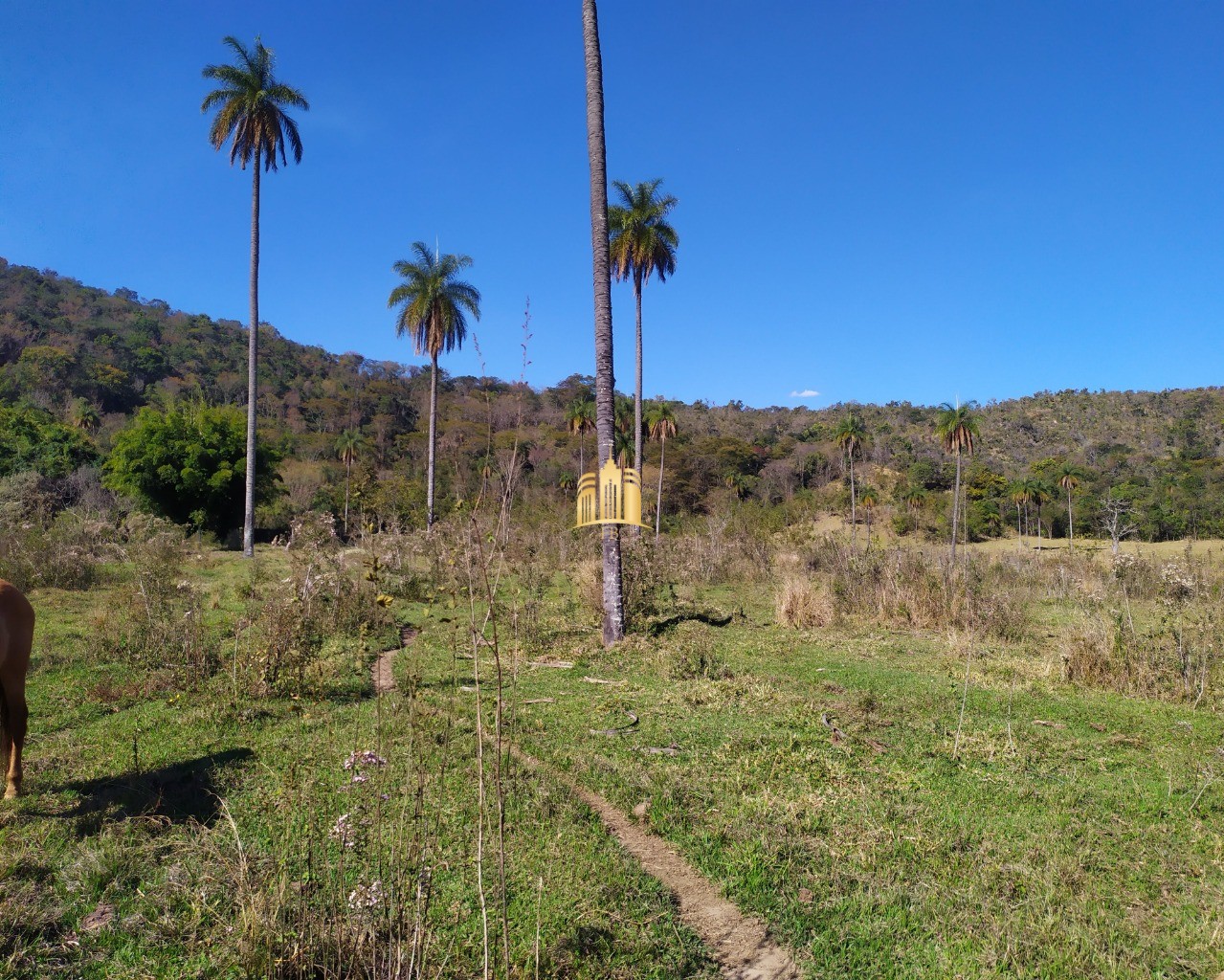 Fazenda à venda com 3 quartos, 660000m² - Foto 22