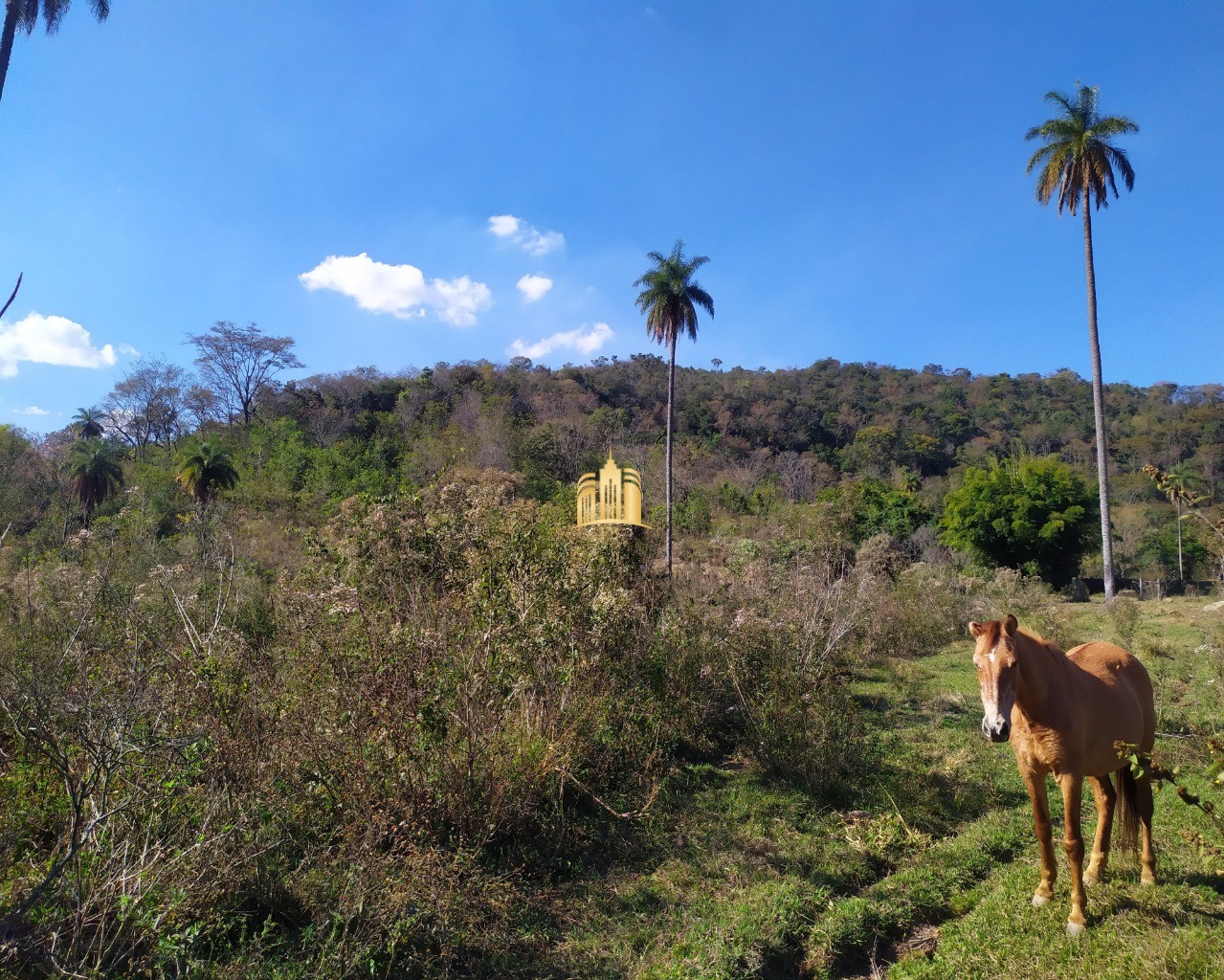 Fazenda à venda com 3 quartos, 660000m² - Foto 23