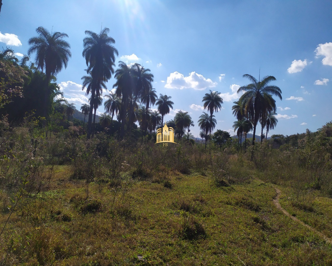 Fazenda à venda com 3 quartos, 660000m² - Foto 24