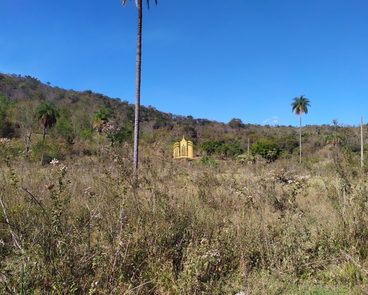 Fazenda à venda com 3 quartos, 660000m² - Foto 25