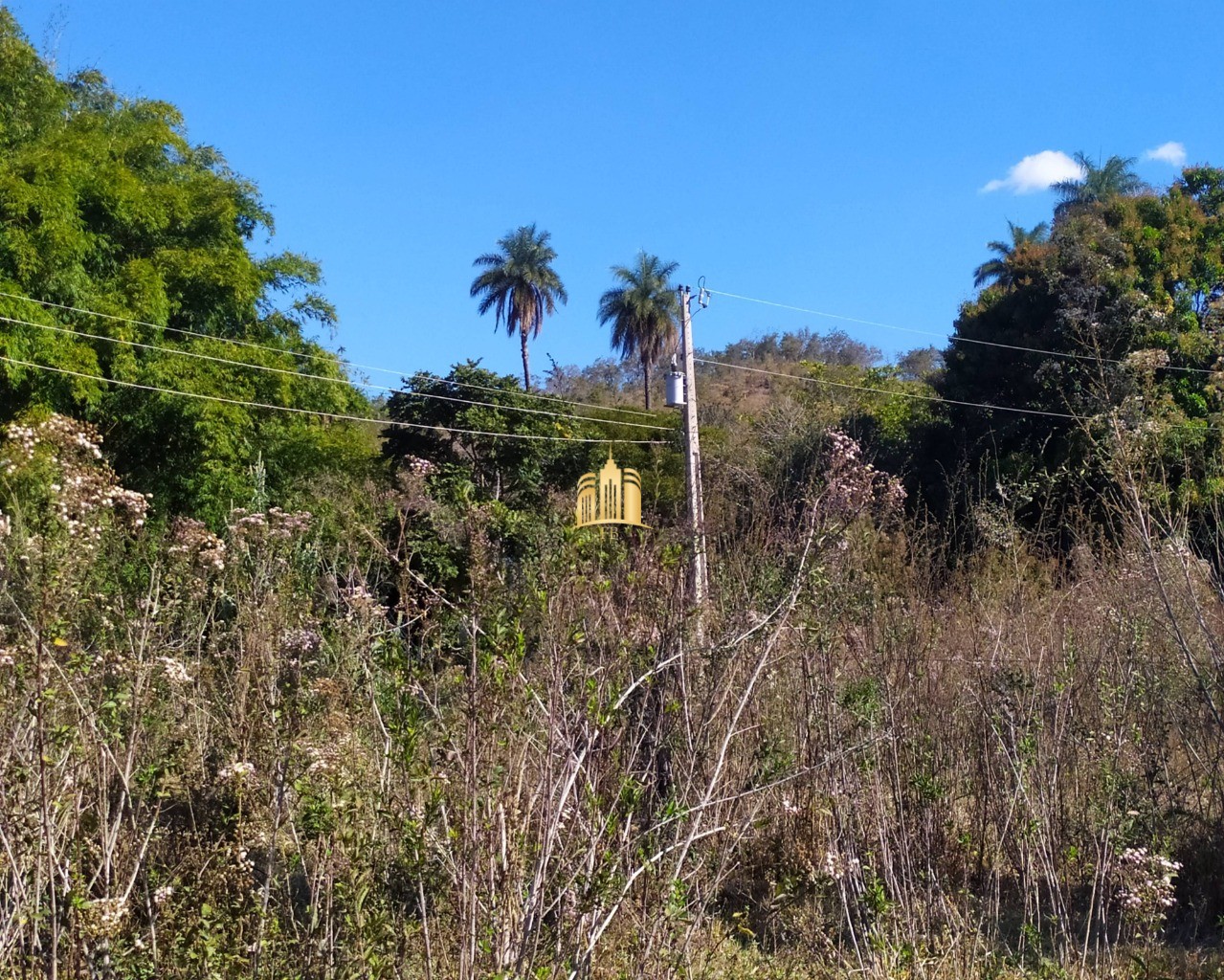 Fazenda à venda com 3 quartos, 660000m² - Foto 26