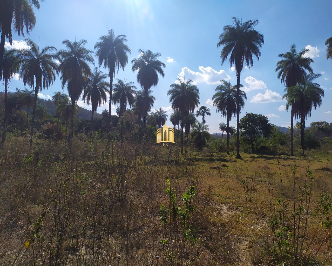 Fazenda à venda com 3 quartos, 660000m² - Foto 27