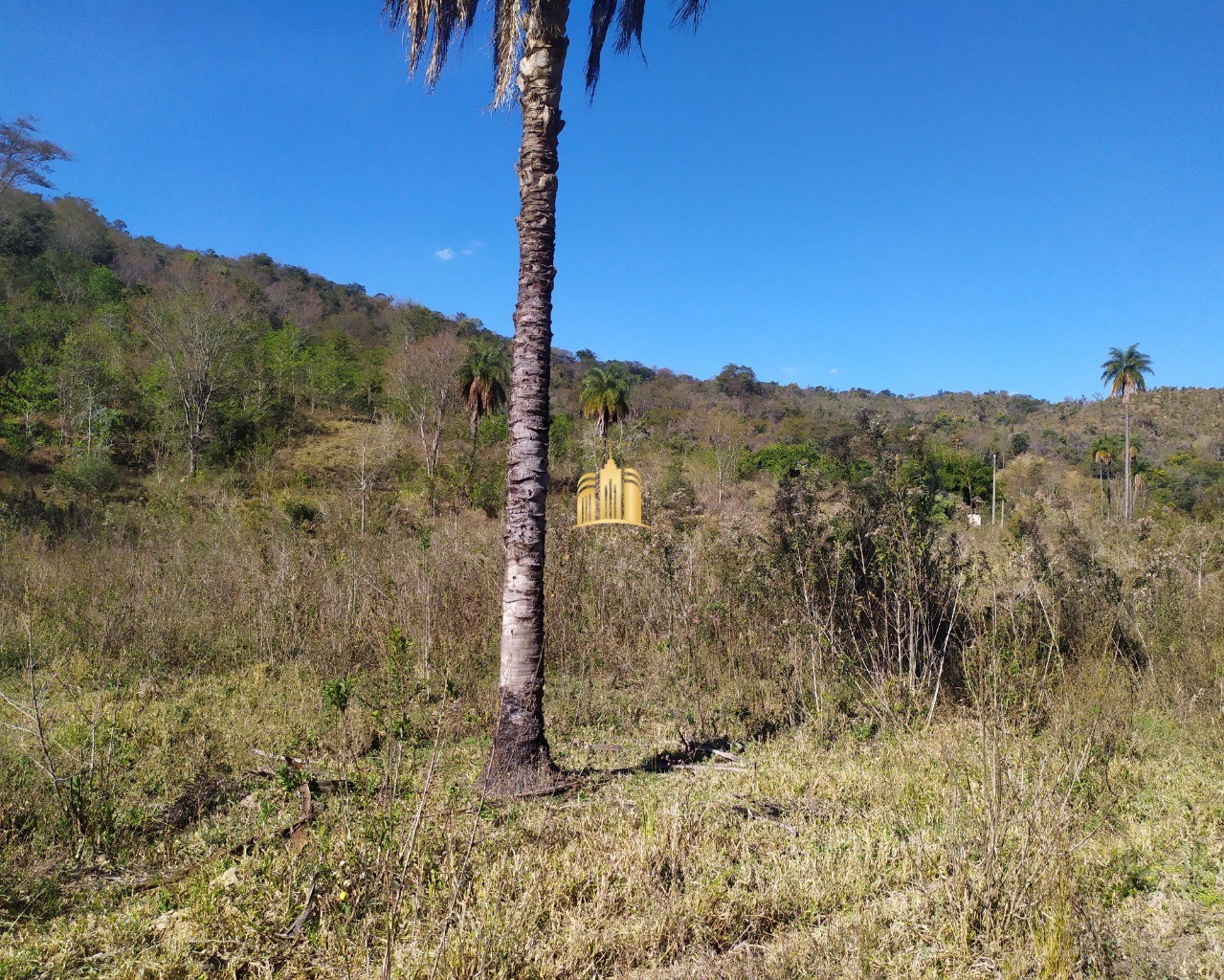 Fazenda à venda com 3 quartos, 660000m² - Foto 28