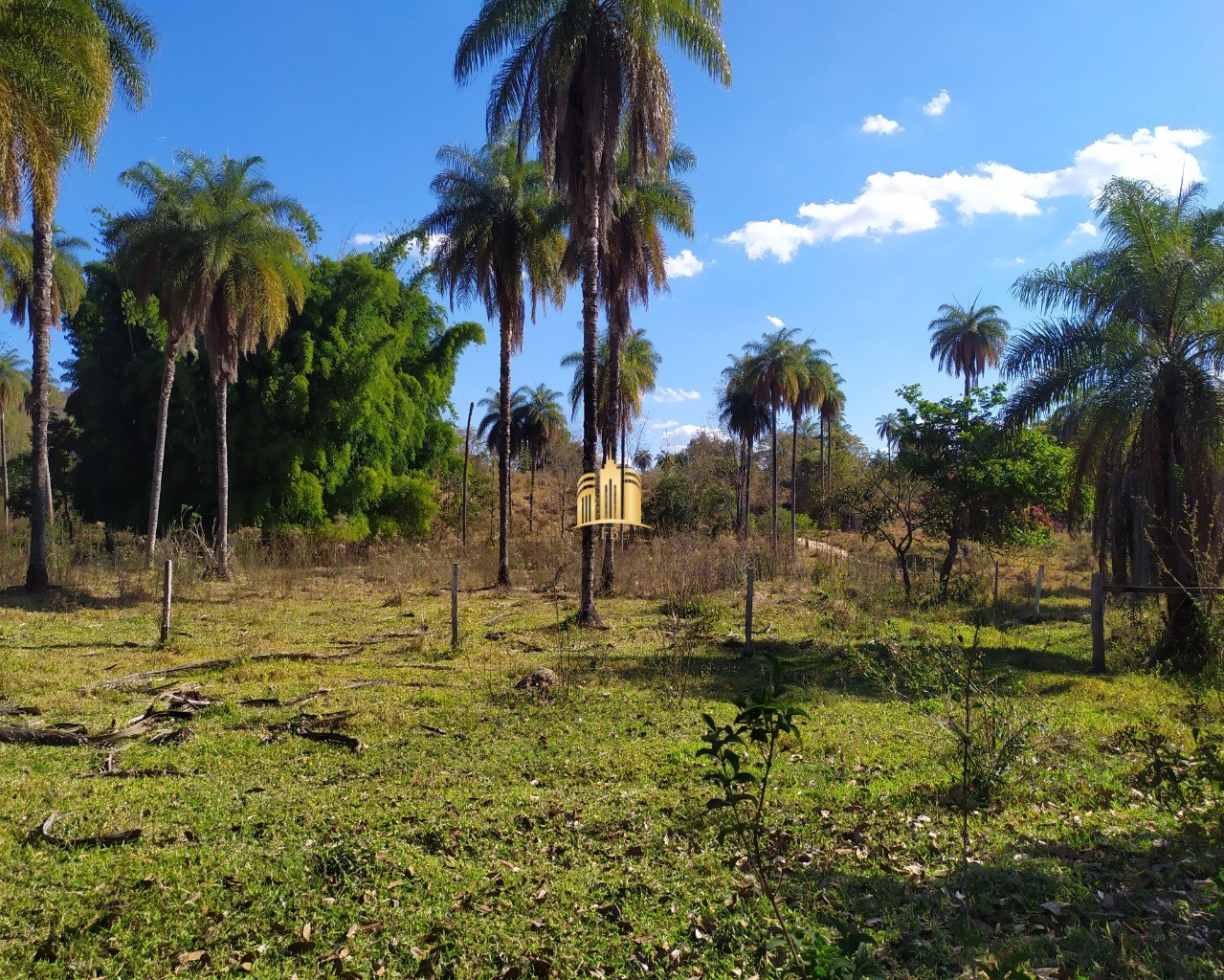 Fazenda à venda com 3 quartos, 660000m² - Foto 29