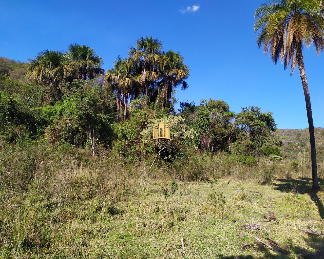 Fazenda à venda com 3 quartos, 660000m² - Foto 31