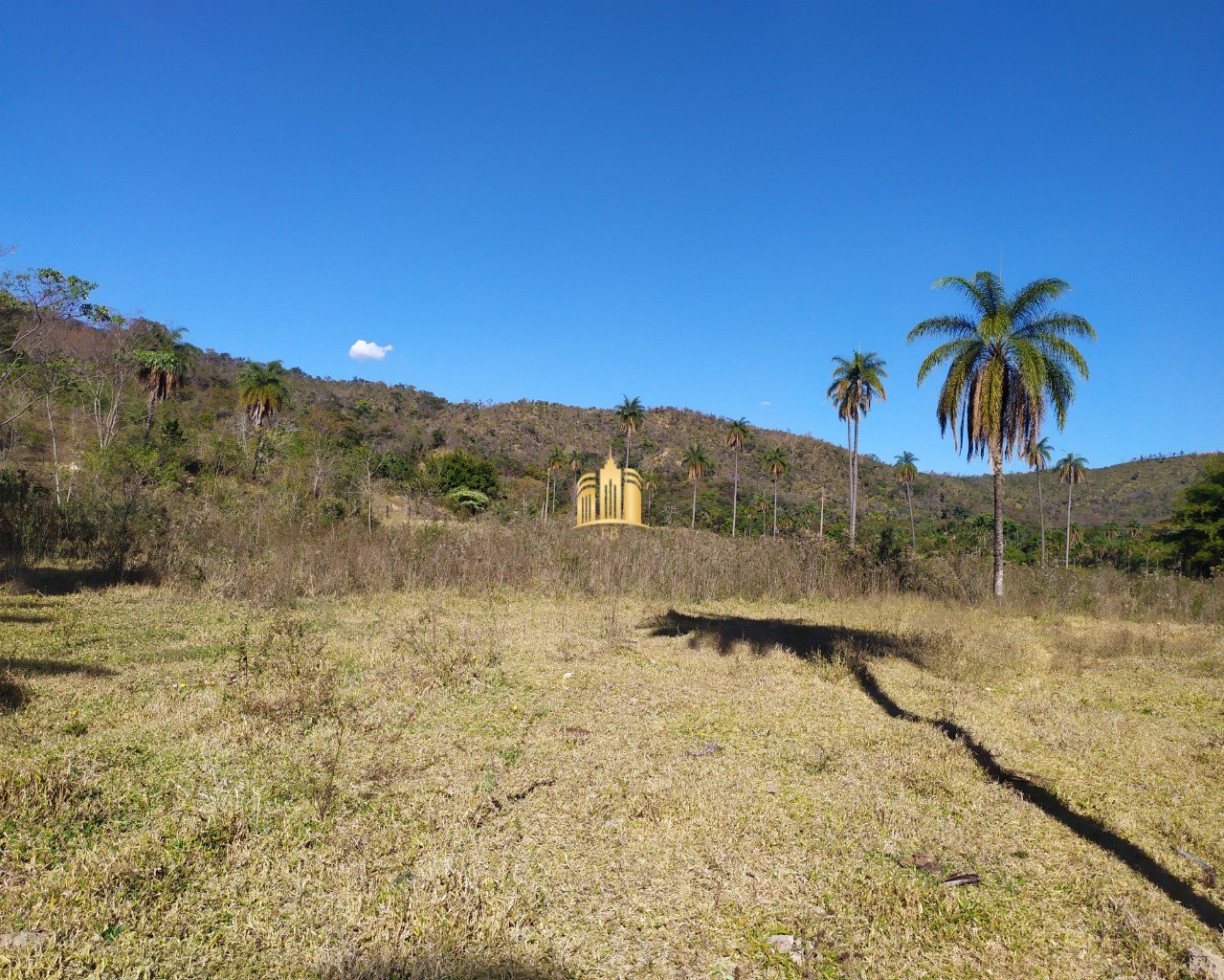 Fazenda à venda com 3 quartos, 660000m² - Foto 33