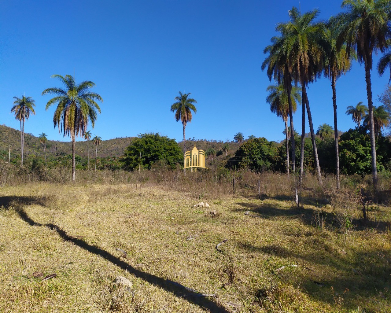 Fazenda à venda com 3 quartos, 660000m² - Foto 34