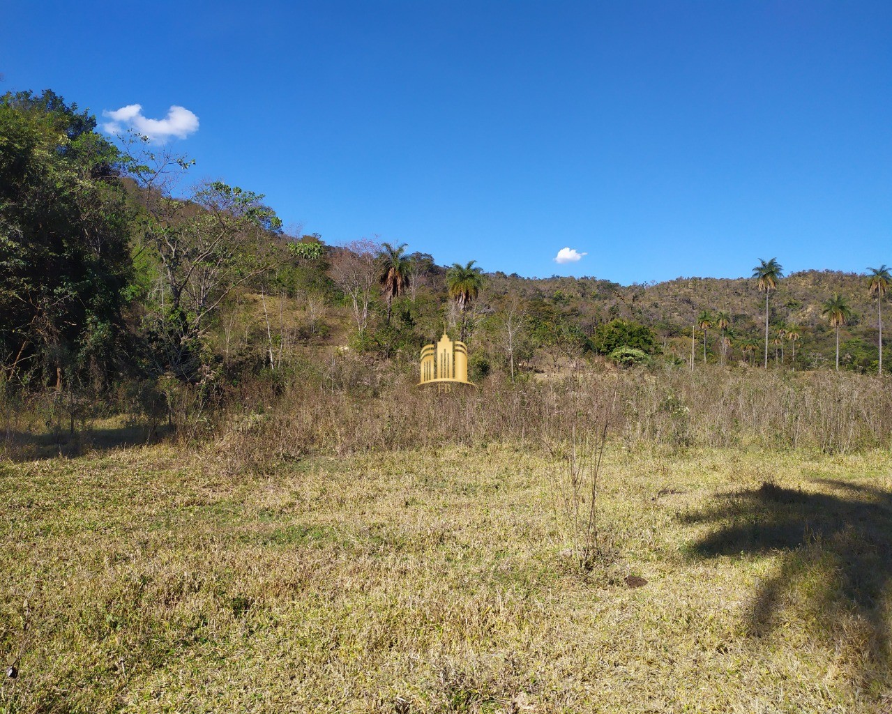 Fazenda à venda com 3 quartos, 660000m² - Foto 35