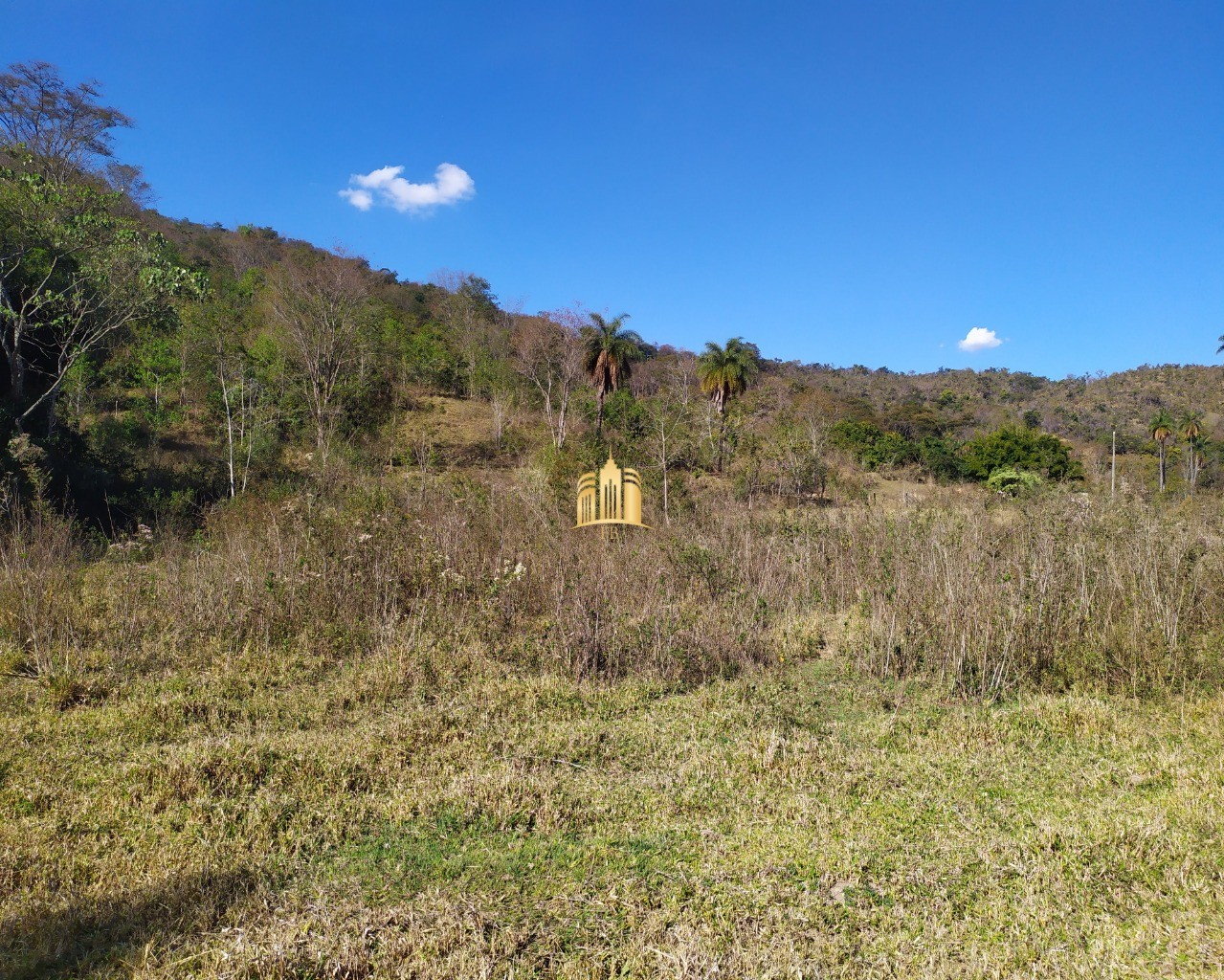 Fazenda à venda com 3 quartos, 660000m² - Foto 36