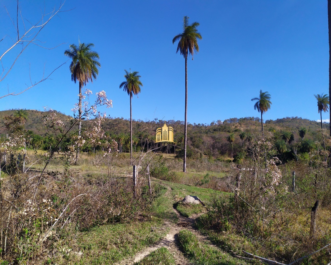 Fazenda à venda com 3 quartos, 660000m² - Foto 38