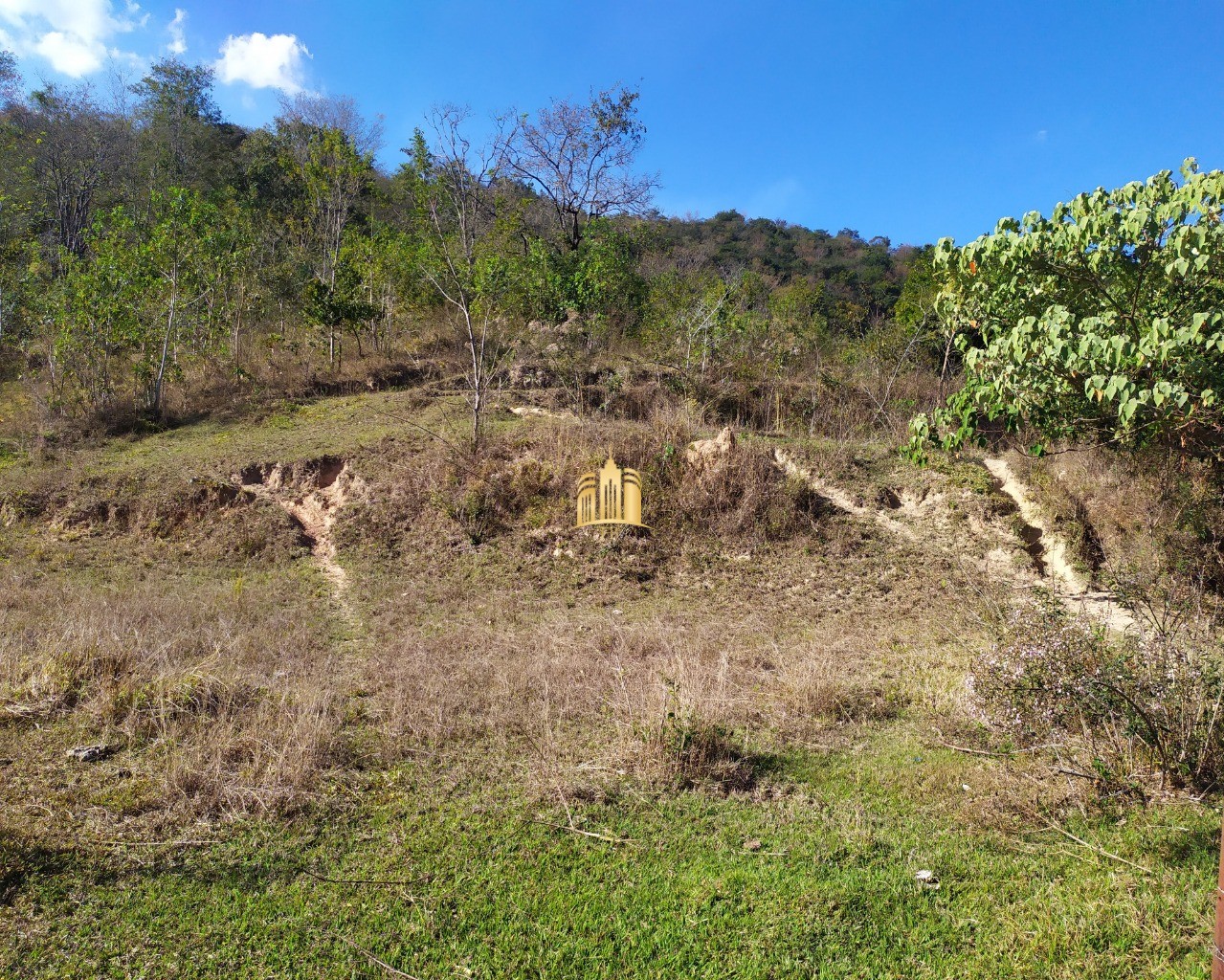 Fazenda à venda com 3 quartos, 660000m² - Foto 39