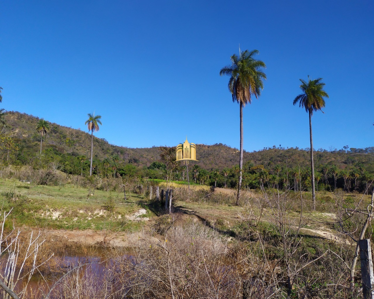 Fazenda à venda com 3 quartos, 660000m² - Foto 40