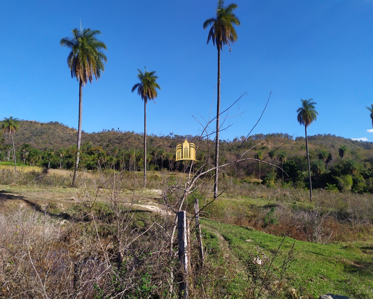 Fazenda à venda com 3 quartos, 660000m² - Foto 41