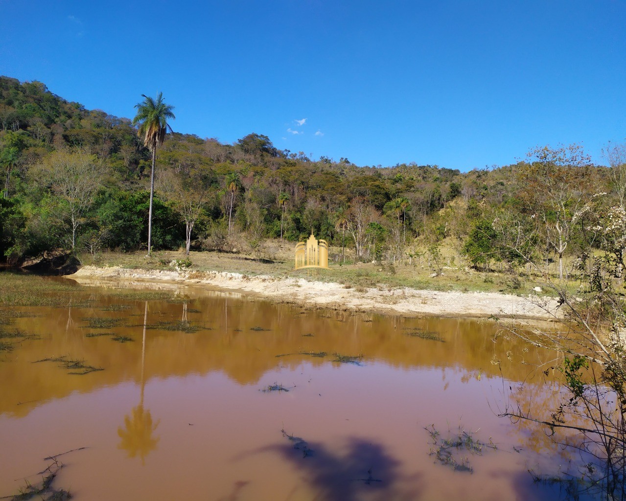 Fazenda à venda com 3 quartos, 660000m² - Foto 42