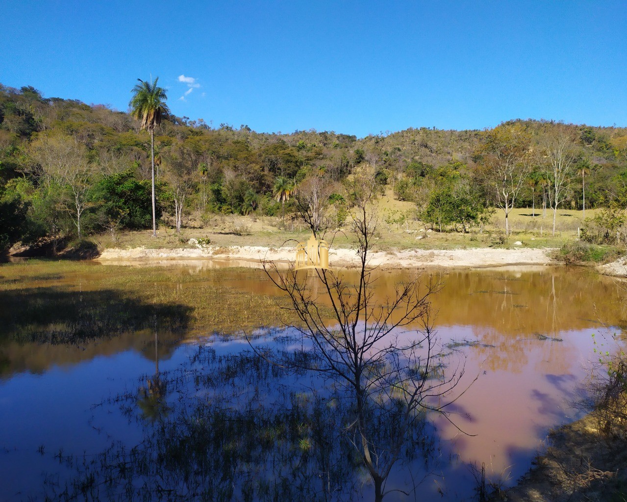 Fazenda à venda com 3 quartos, 660000m² - Foto 43