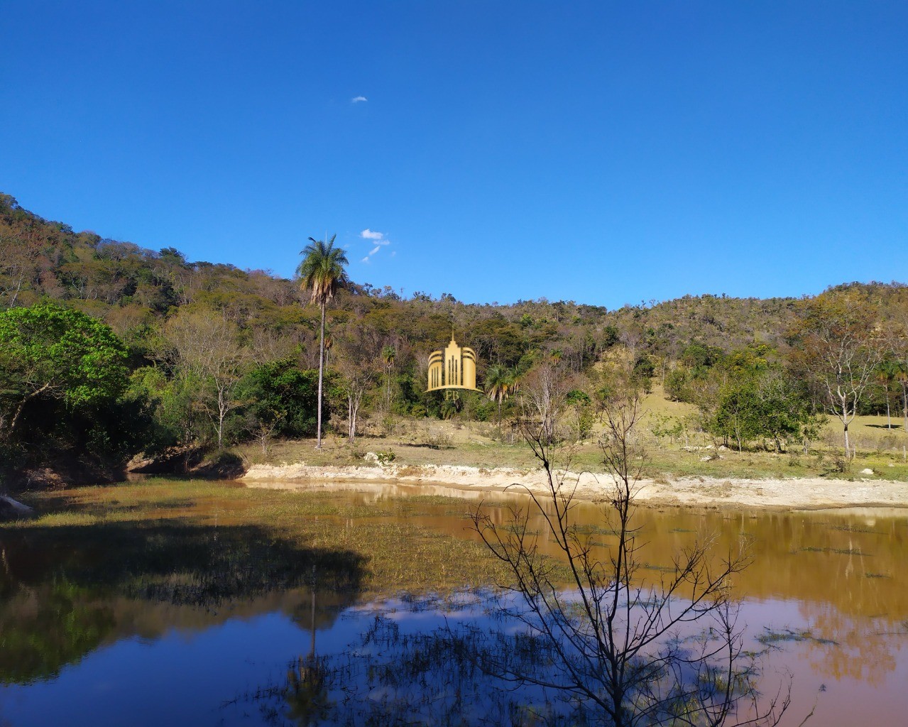 Fazenda à venda com 3 quartos, 660000m² - Foto 44