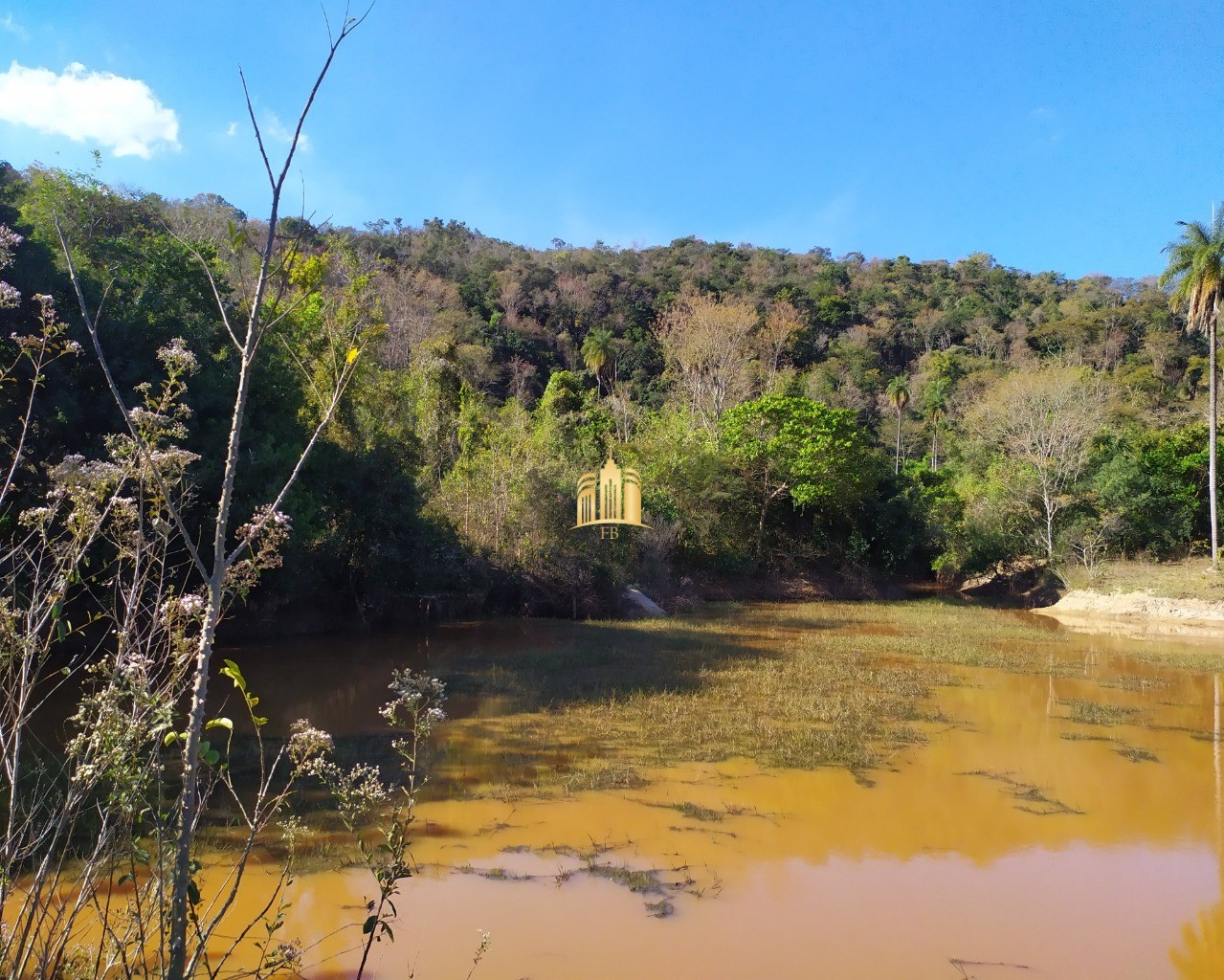 Fazenda à venda com 3 quartos, 660000m² - Foto 45