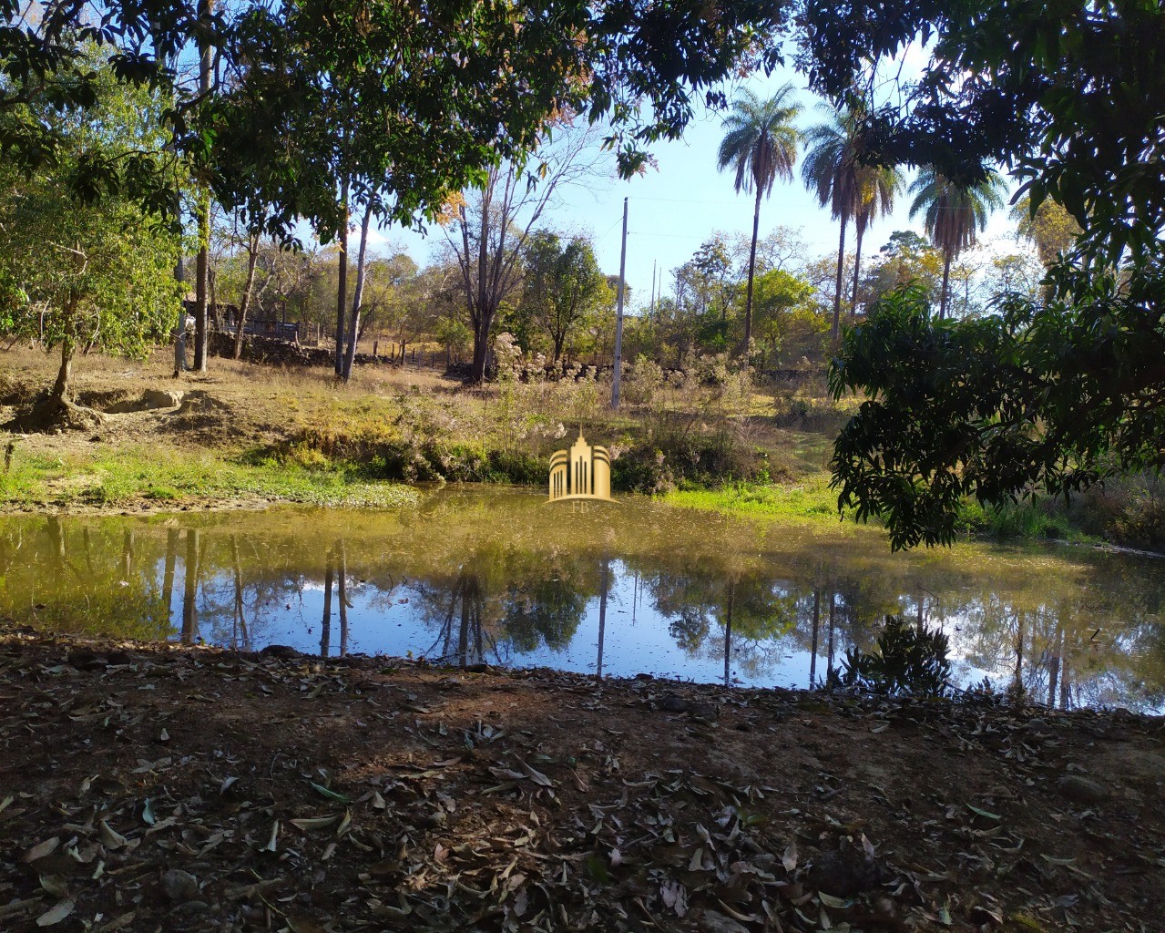 Fazenda à venda com 3 quartos, 660000m² - Foto 46