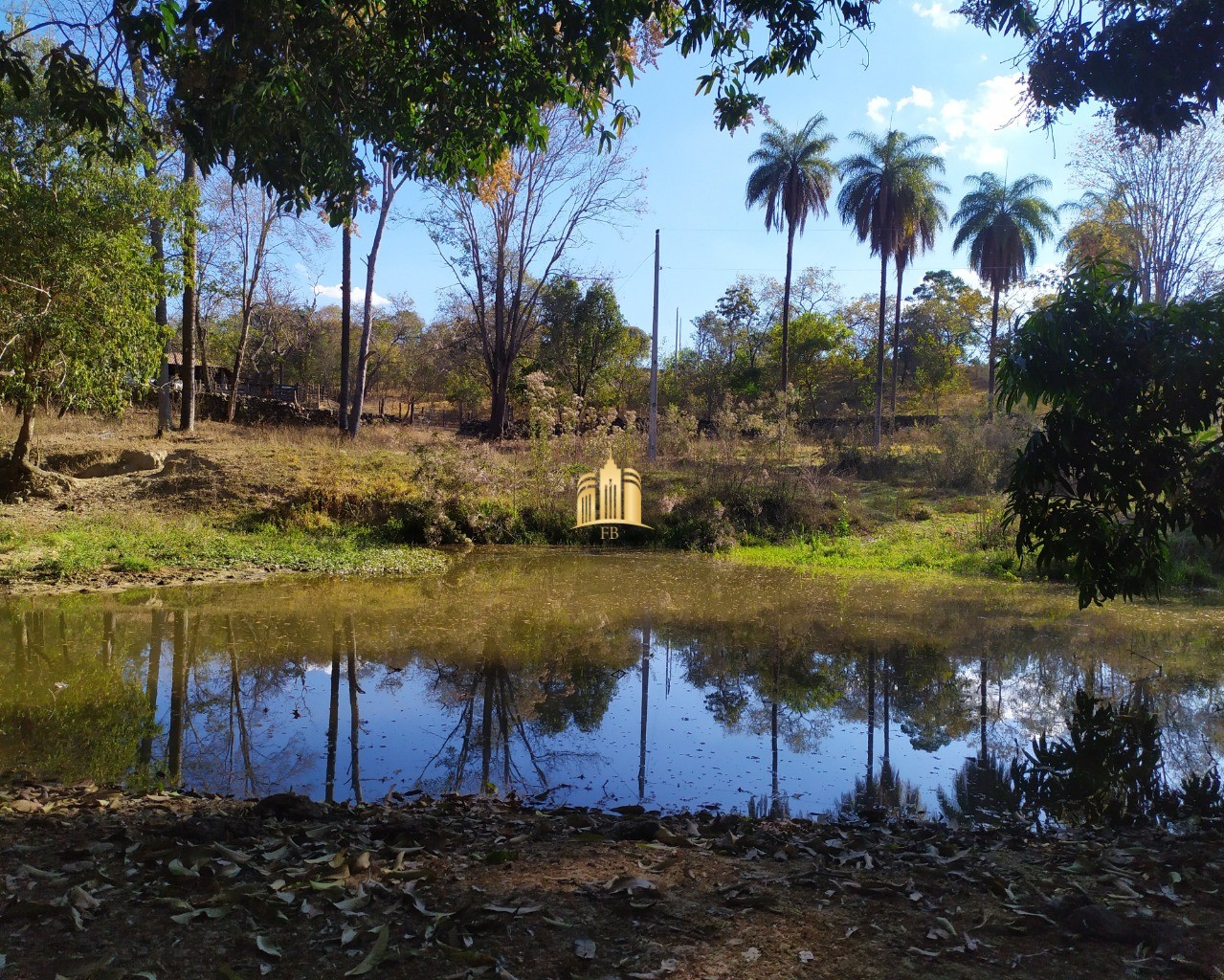 Fazenda à venda com 3 quartos, 660000m² - Foto 47