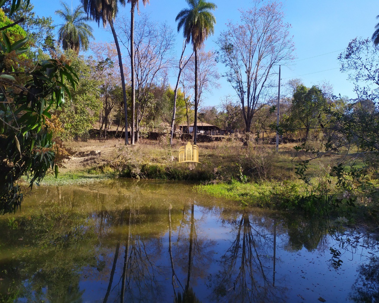 Fazenda à venda com 3 quartos, 660000m² - Foto 48