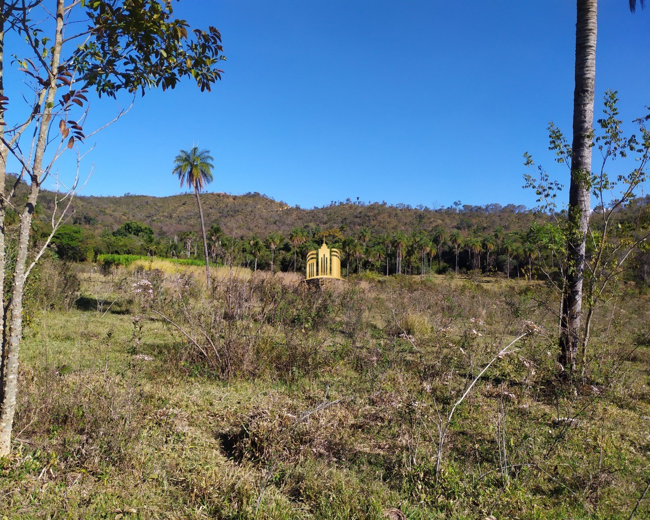 Fazenda à venda com 3 quartos, 660000m² - Foto 50