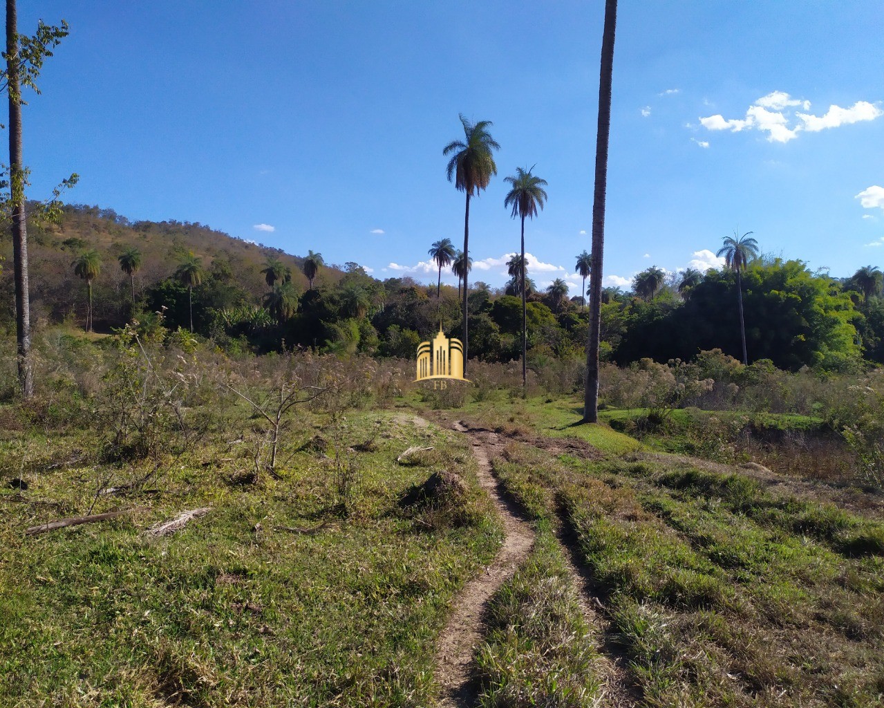 Fazenda à venda com 3 quartos, 660000m² - Foto 51