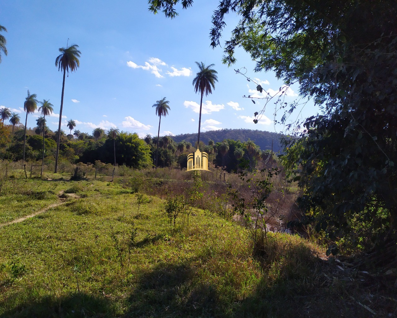 Fazenda à venda com 3 quartos, 660000m² - Foto 52