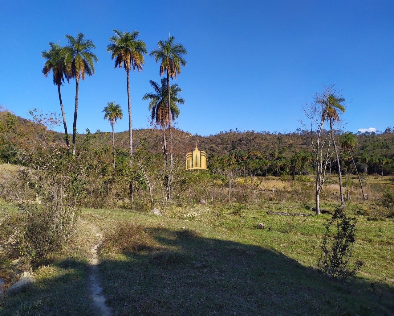 Fazenda à venda com 3 quartos, 660000m² - Foto 53