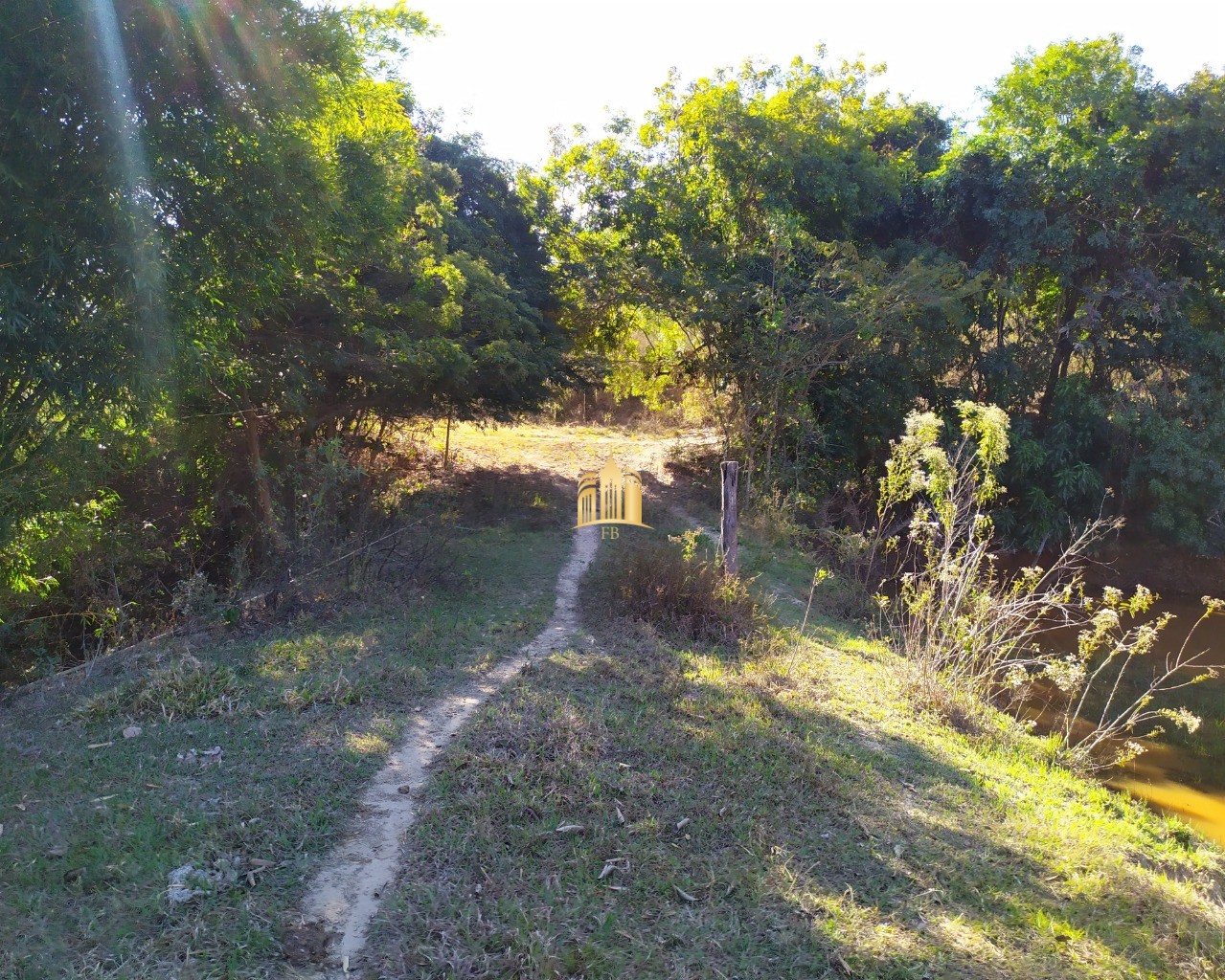 Fazenda à venda com 3 quartos, 660000m² - Foto 54