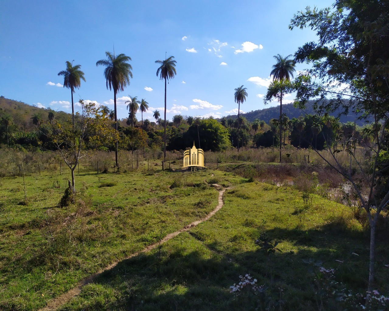 Fazenda à venda com 3 quartos, 660000m² - Foto 55