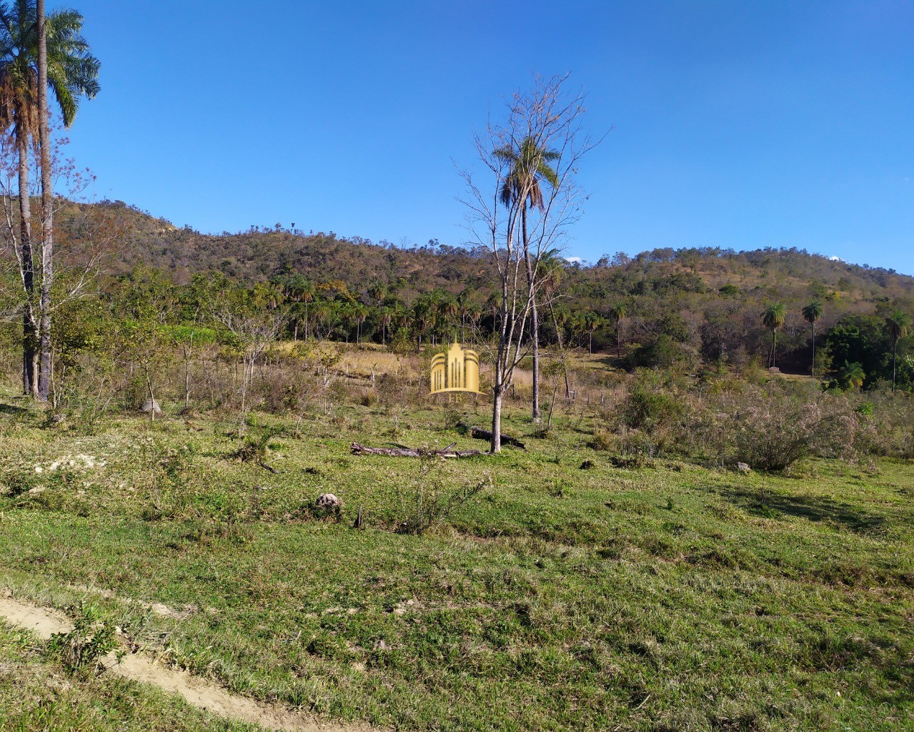 Fazenda à venda com 3 quartos, 660000m² - Foto 56