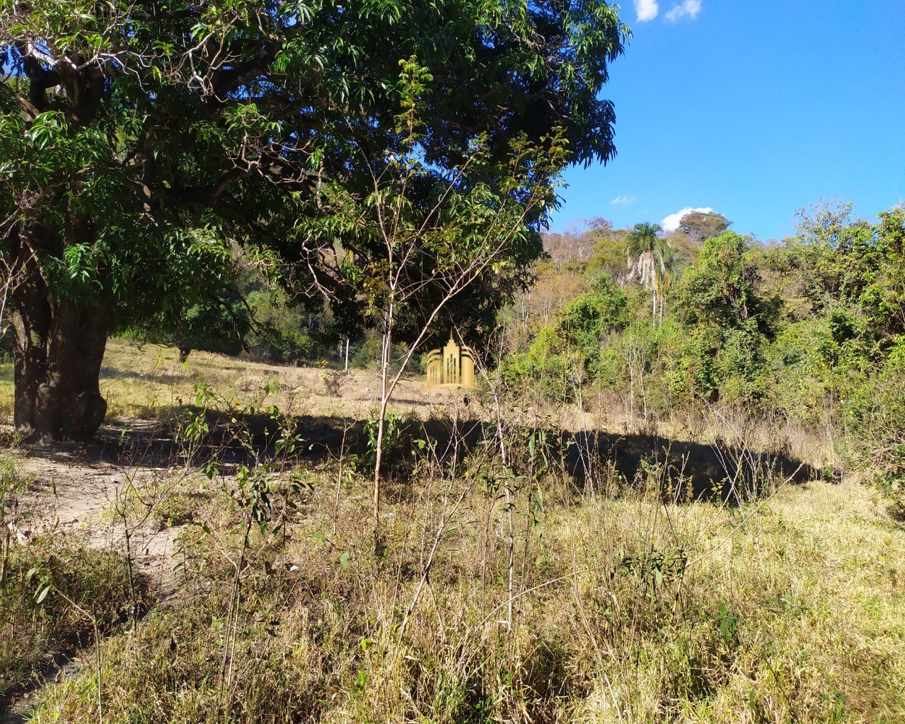 Fazenda à venda com 3 quartos, 660000m² - Foto 57