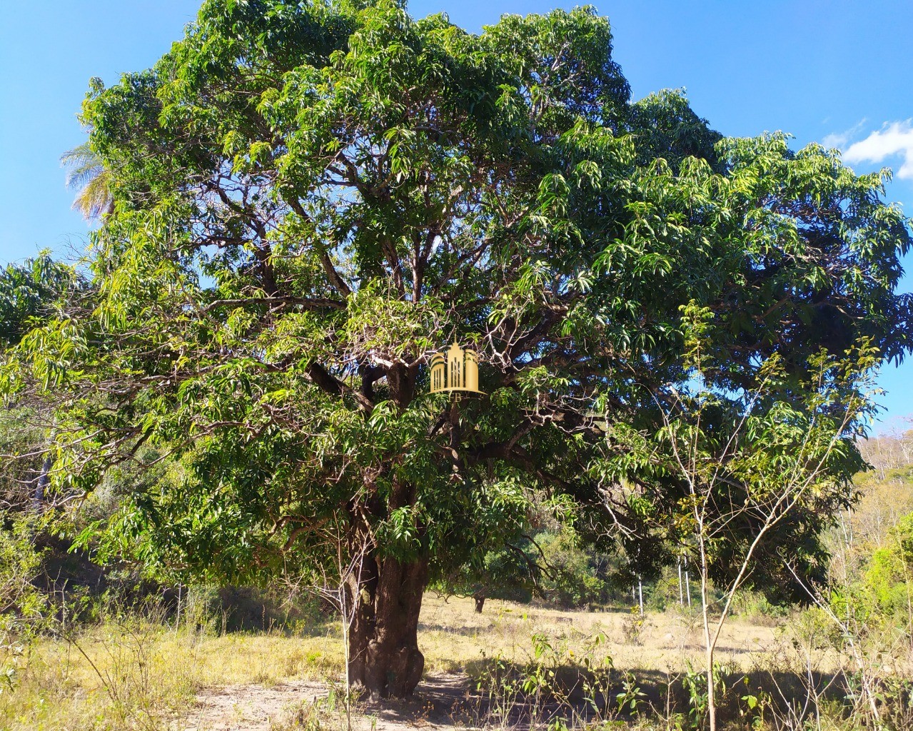 Fazenda à venda com 3 quartos, 660000m² - Foto 58