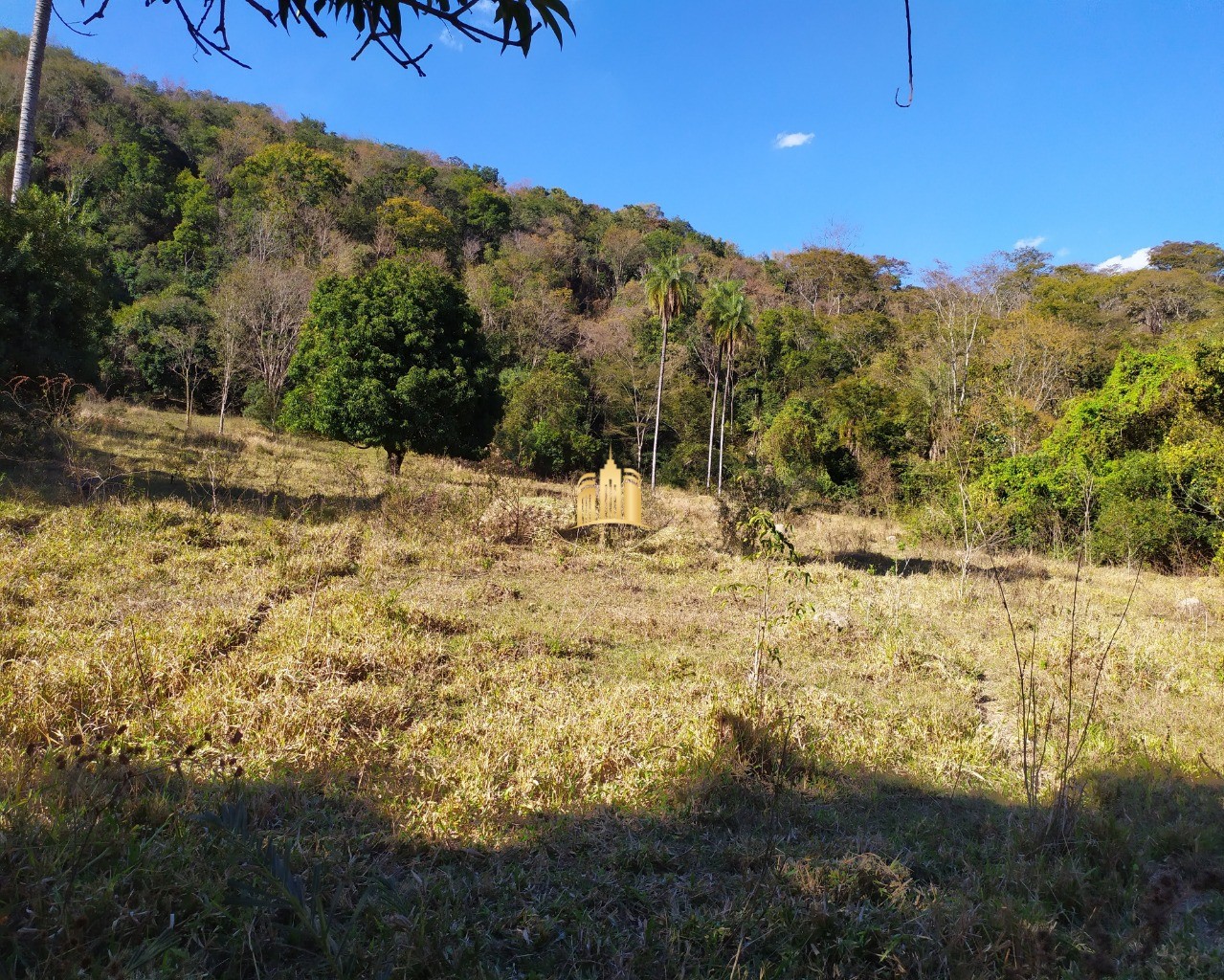 Fazenda à venda com 3 quartos, 660000m² - Foto 59